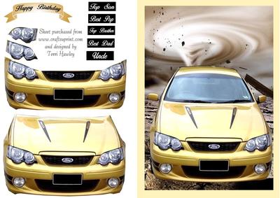 Male Ford R
