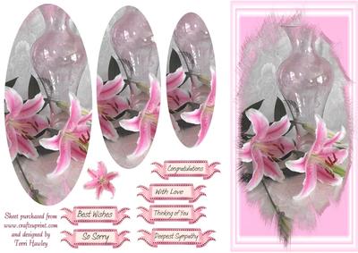 Star Gazer Lilies