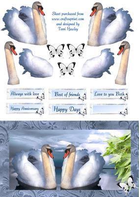 Swans in Love