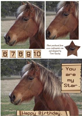 Pony Love