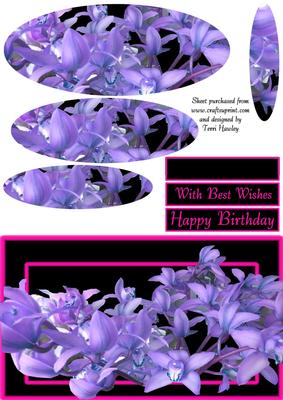 Orchid Blue and Pink