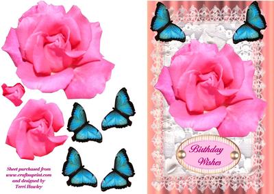 Butterfies and Roses