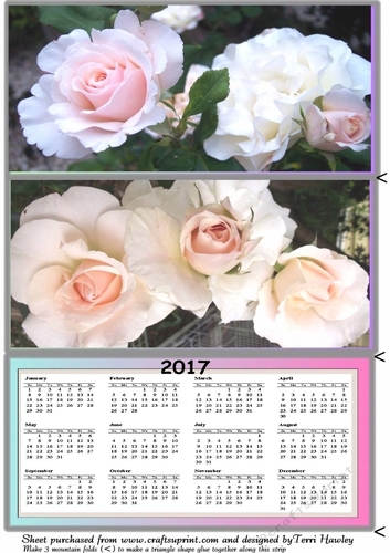 Calendar 7