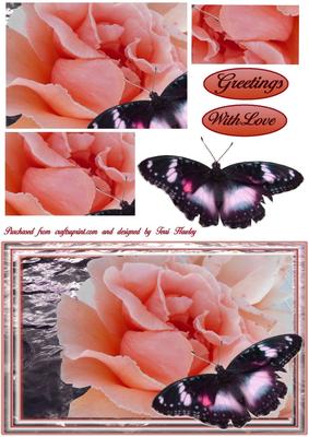Butterfly Rose Love