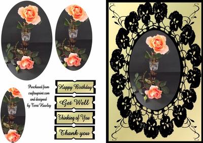 Black Lace Rose