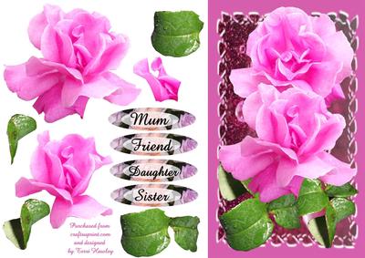 Ladies Rose
