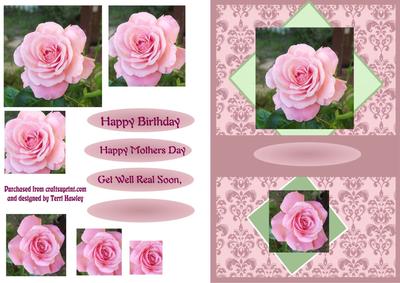 Pink Rose for Mums Birthday