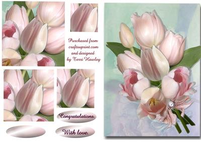 Tulip Kiss