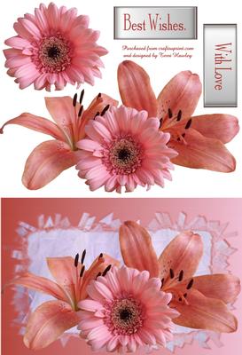 Lilies and Daisy