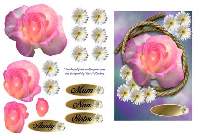 Bright Rose for a Lady