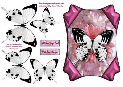 White Butterfly