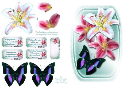 Butterfly and Lily Greetings