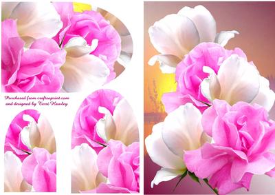 My Sweet Rose