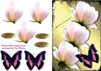 Sweet Rose and Butterfly