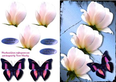 Sweet Rose and Butterfly Blue