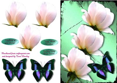 Sweet Rose and Butterfly Green