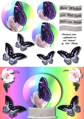 Globe Butterfly