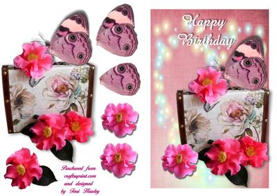 Cameillia Birthday