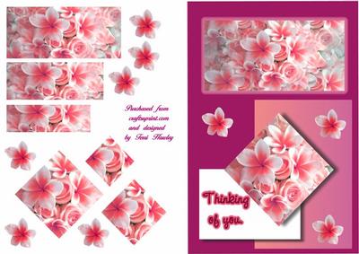 Frangipani Thinking of You