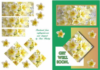 Frangipani Get Well Soon