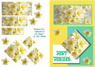 Frangipani Best Wishes