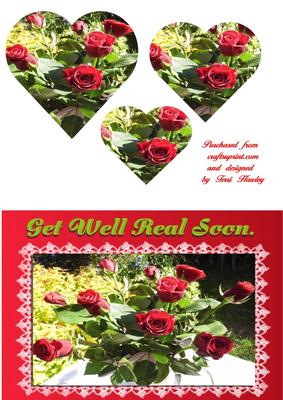 Red Roses Get Well Real Soon