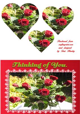 Red Roses Thinking of You