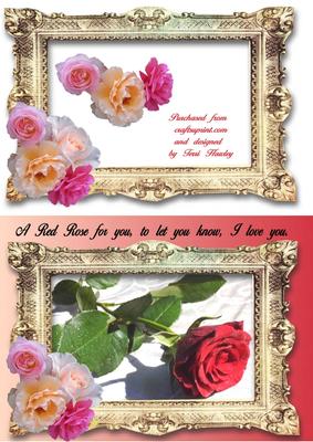 A Red Rose for You I Love You