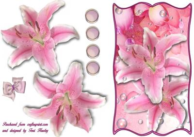 Any Reason Pretty in Pink
