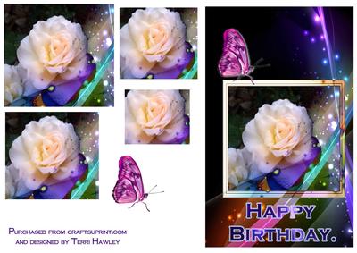 Sweet Honey Birthday Rose