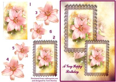 Birthday Lily