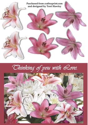 Lots of Lilies with Love