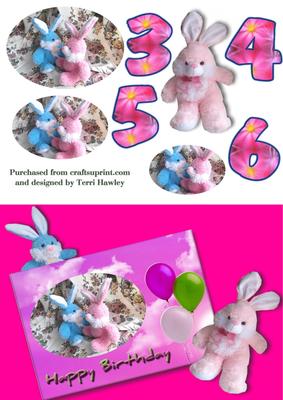 Birthday Bunny 3 to 6