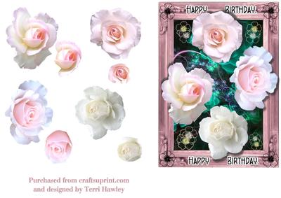 Over the Edge Roses