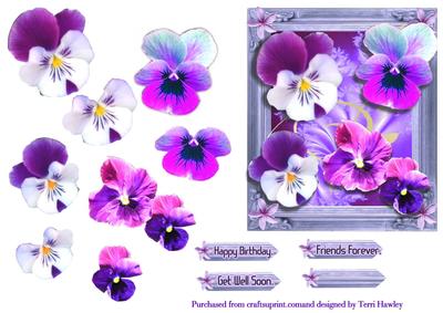 Over the Edge Pansy