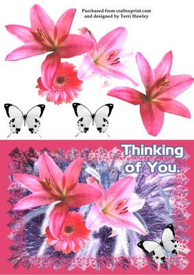 Thinkng of You Lily