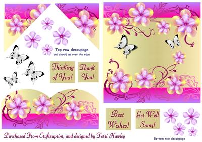 Flowers and Butterflies