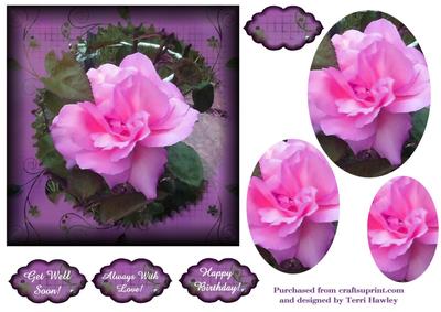 Always with Love 6 X6 Purple