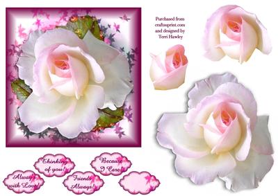 Friends Forever Pink