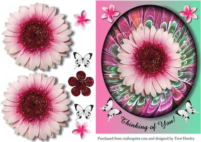 Thinking of You Grebera Pink