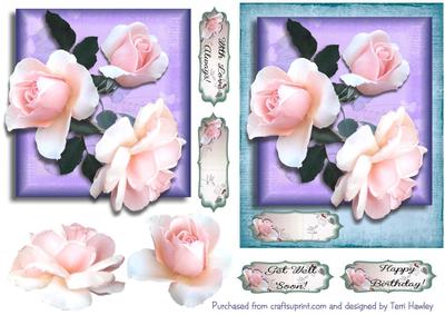 Pink Rose Greetings
