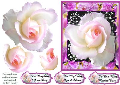 Single Rose Greetings