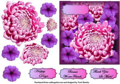 Pink Dahlia Greetings