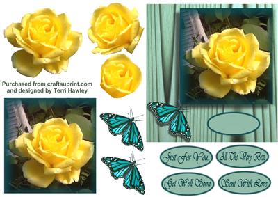 Yellow Rose