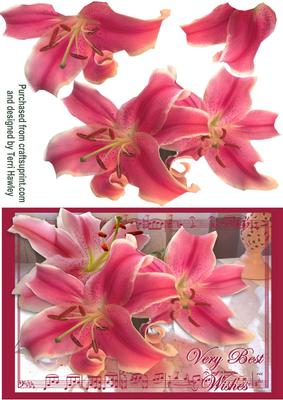Best Wishes Lilies