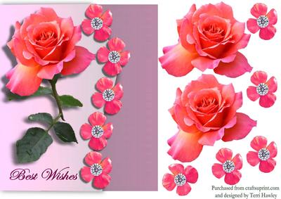 Best Wishes Rose