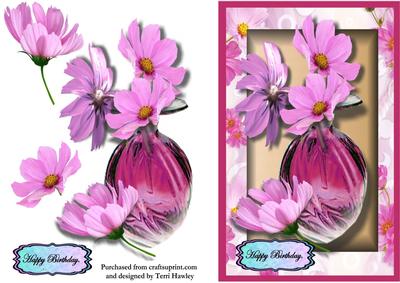 Cosmos Lily