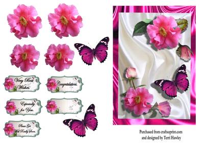 Pink Rose and Butterfly