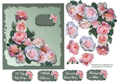 Roses Roses Roses
