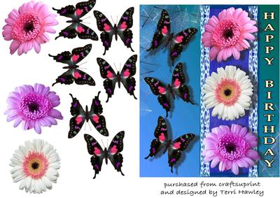 Beautiful Birthday Gerberas